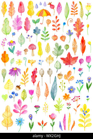 Set of watercolor flowers and leaves on a white background. Hand drawn botanical autumn design elements Stock Photo