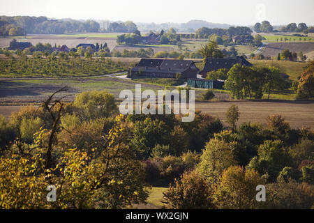 Autumn landscape with fields and forest, Oelde, Muensterland, North Rhine-Westphalia, Germany Europe Stock Photo