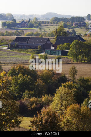 Autumn landscape with fields and forest, Oelde, Muensterland, North Rhine-Westphalia, Germany Europe Stock Photo