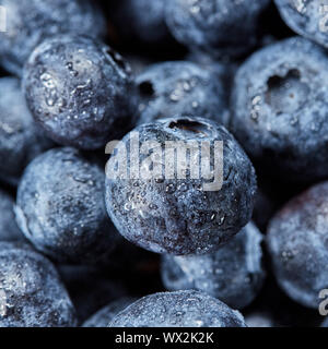 Summer blueberries background from natural organic freshly picked berries. Macro of sweet fresh blueberries.