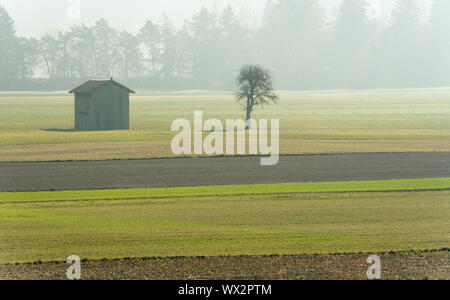 morning mist in a mountain valley with fields and an old wooden barn and isolated trees with forest Stock Photo