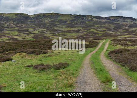 Unpaved country road in Scottish Highlands near Loch Tay Stock Photo