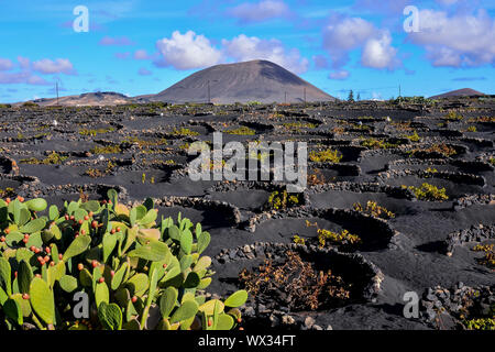 Landscape in Tropical Volcanic Canary Islands Spain Stock Photo