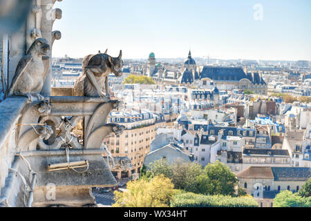 Gargoyle statue on Notre Dame de Paris Stock Photo