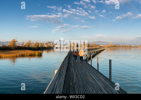 landscape view of marsh and lake shore with the town of Rapperswil in evening light and a long woode Stock Photo