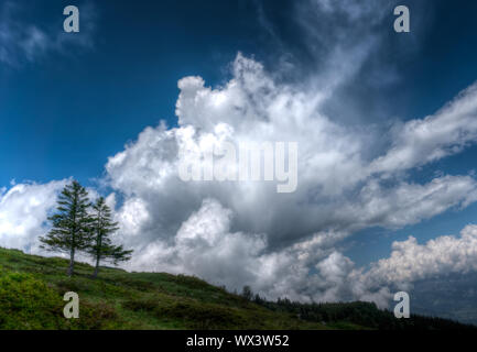 two lone pine trees on the horizon under a wild and expressive cloudy sky Stock Photo