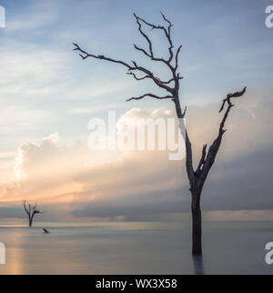 sunrise on a calm and empty beach with driftwood and reflections Stock Photo