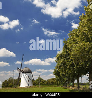 Stammenmühle windmill, Nettetal, Lower Rhine, North Rhine-Westphalia, Germany, Europe Stock Photo