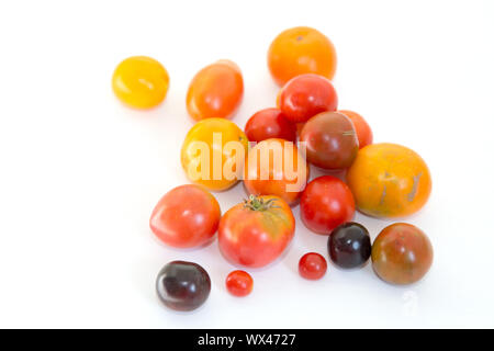 Multicolored tomatoes on a white background. Fresh harvest. Stock Photo