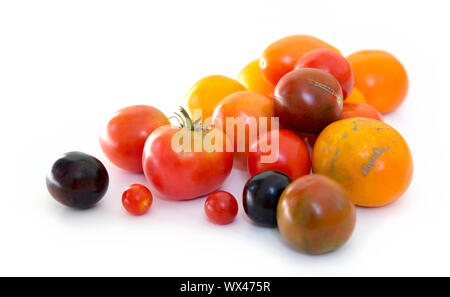 Natural fresh farm multi-colored tomatoes on a white background. Stock Photo