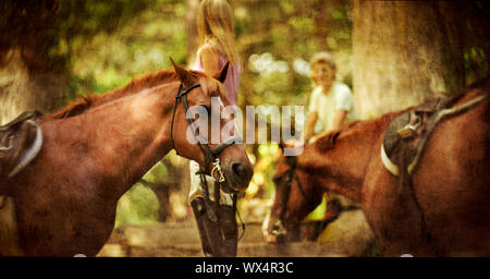 Two horses at a ranch. Stock Photo