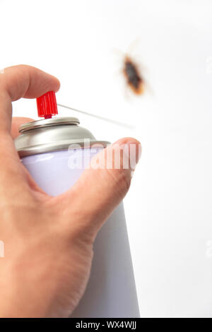 kill Cockroach Stock Photo