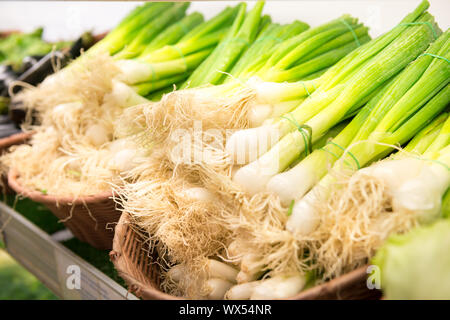 Bunches of green onion at market Stock Photo