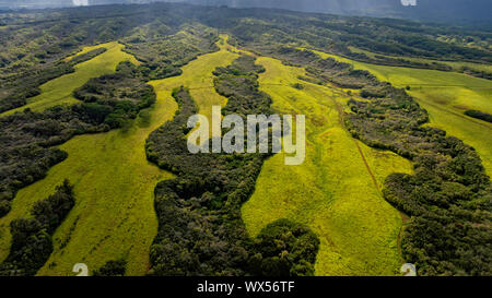 Aerial view from a fixed wing airplane of interior Kaui, Hawaii, USA near Lihue showing lush green meadows, tropical forests Stock Photo