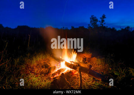 Big orange fire in bonfire Stock Photo