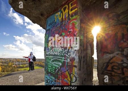 graffiti on the stairs of heaven, spoil tip Rhine Elbe, Gelsenkirchen, Ruhr Area, Germany, Europe Stock Photo