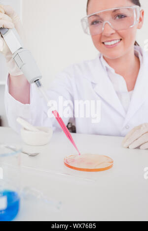 Attractive red-haired scientist using a pipette in a lab Stock Photo