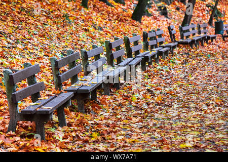 wooden benches in the fall in park Stock Photo