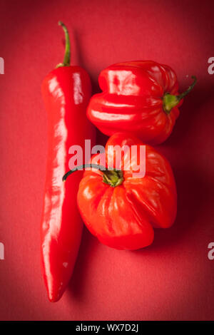 Selection of red thai and scotch bonnet chile's Stock Photo
