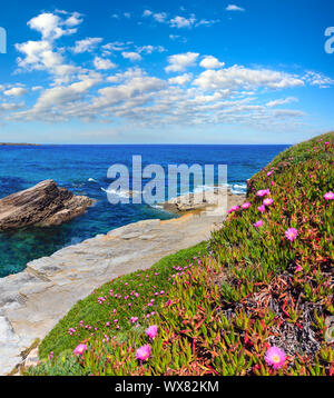 Atlantic blossoming coastline (Spain). Stock Photo