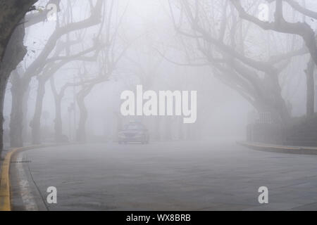 lushan mountain landscape of street in fog Stock Photo