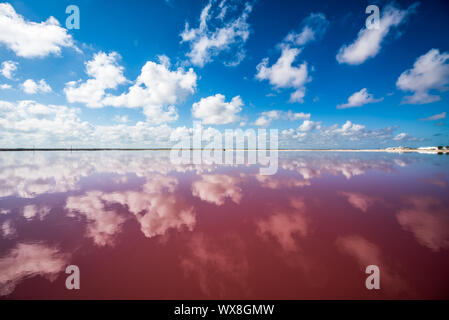 Salt pink lagoon in Las Coloradas, Yucatan, Mexico Stock Photo