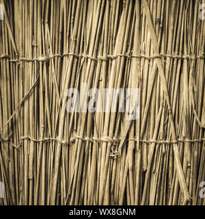 Highly detailed bamboo background. Perfect natural texture. Stock Photo
