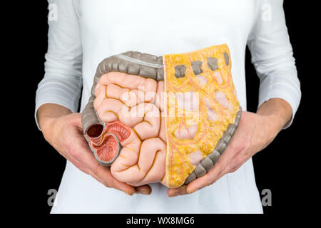 Female person holds human intestines model at body Stock Photo