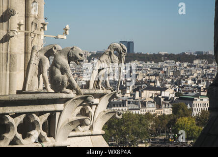 PARIS, FRANCE - 02 OCTOBER 2018: Mythical creature gargoyle on roof of Notre Dame cathedral. Stock Photo