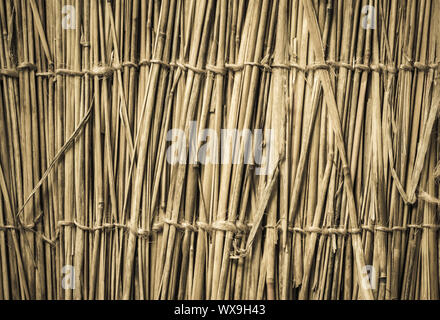 Highly detailed bamboo background. Perfect natural texture. Stock Photo