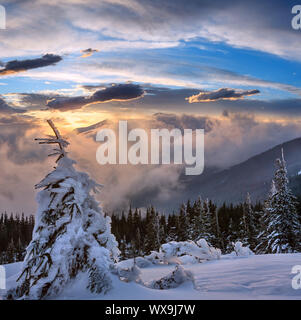 Sunset winter mountain landscape, Carpathian Stock Photo