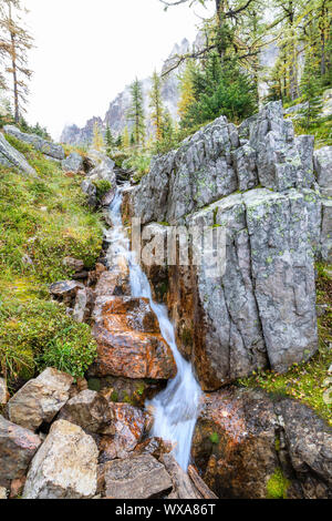A small stream cascading down a brook from melting snow on Shaffer Mountain along the Opabin Trail at Lake O'Hara in the Canadian Rockies of Yoho Nati Stock Photo