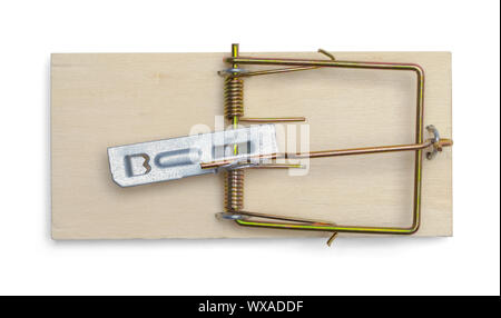 Mouse Trap Top View Isolated on White Background. Stock Photo