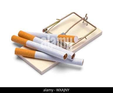 trap cigarette smoke Trap with Cigarettes Isolated on White Background Stock Photo