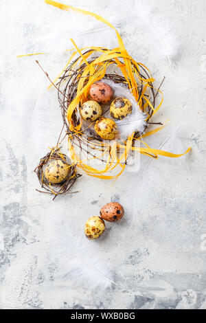 Easter Eggs in bird Nest. Quail easter eggs with feathers in nest on white table with copy space. Stock Photo