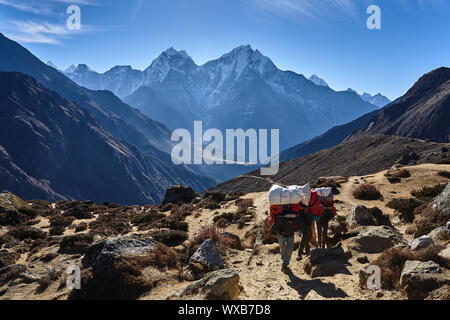 Himalayan porters in Nepal Stock Photo