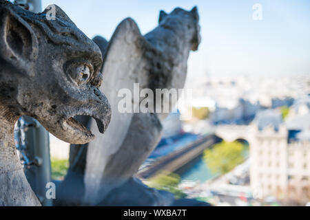 Gargoyle statue on Notre Dame de Paris Stock Photo