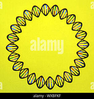 DNA molecules as plasmids Stock Photo