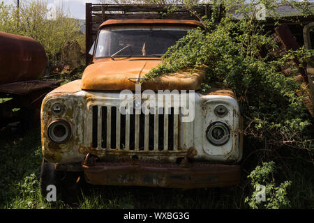 old vintage truck wreck overgrown Stock Photo