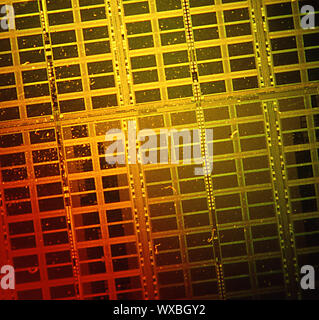 Wafer board for microchips Stock Photo