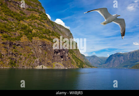 Fjord Naeroyfjord - Norway Stock Photo