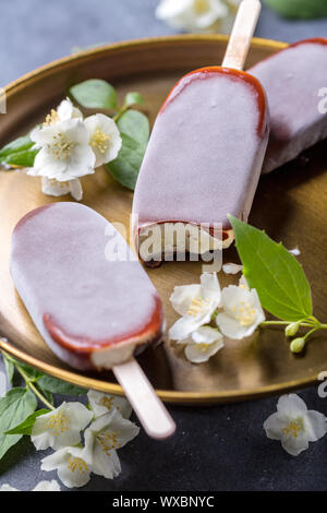 Homemade popsicle in chocolate icing. Stock Photo