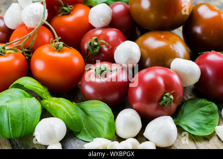 tasty colorful organic food ingredients for tomato mozzarella salad Stock Photo