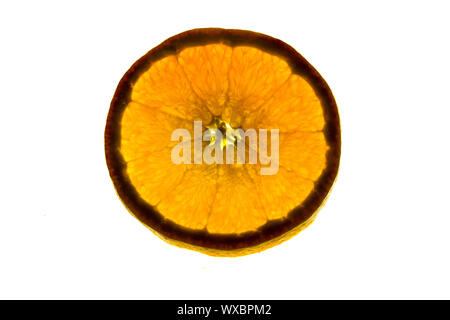 isolated and backlit orange fruit on a bright white background Stock Photo