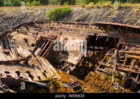 A large wrecked ship lies on its side on the seashore. Rust Peeps through the skeleton of the ship, plants sprout through the old tree Stock Photo