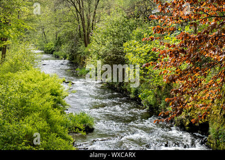 The Selke in the Harz Mountains Stock Photo