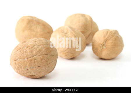 Five walnuts in shells isolated on white background Stock Photo