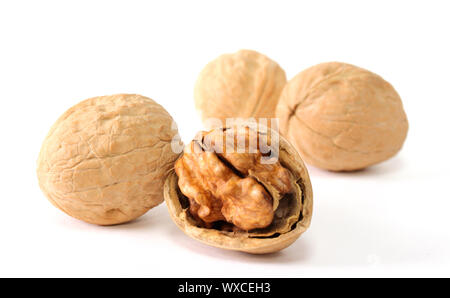 Walnuts in shells isolated on white background Stock Photo