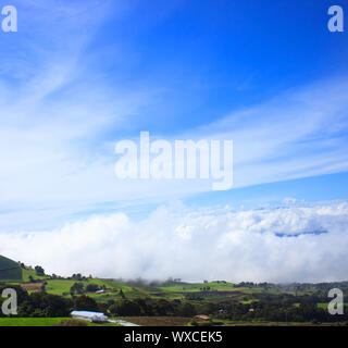 Green meadow above the clouds in Irazu -  Costa Rica Stock Photo