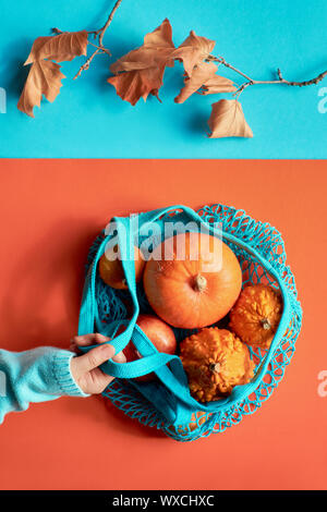 Autumn flat lay on orange and mint blue split paper background with female hand holding leaves and orange pumpkins into turquoise string bag Stock Photo